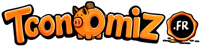 Si t'es pas con, Tconomiz.fr